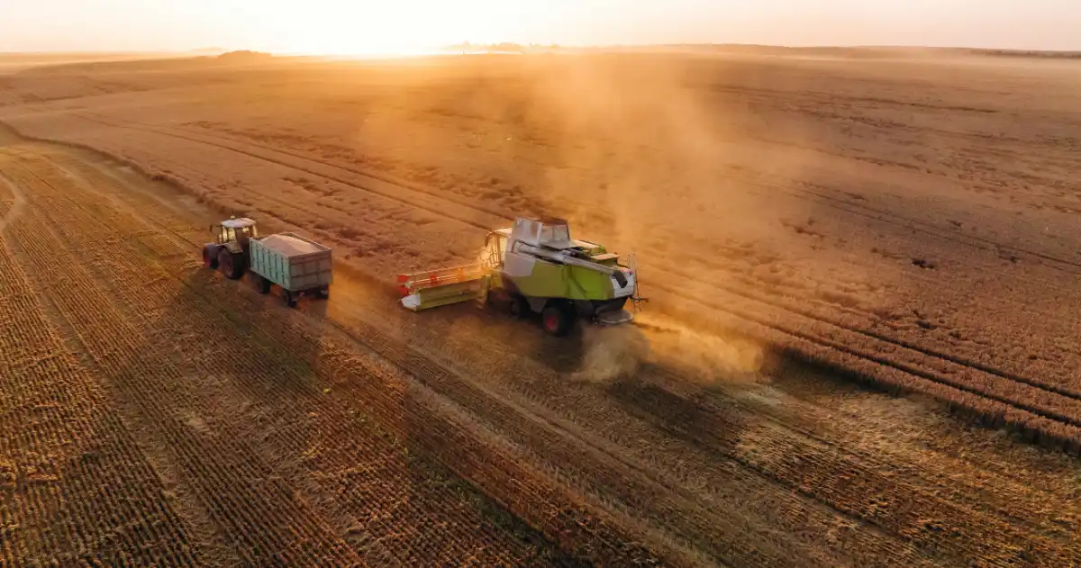 Aerial view of a combine harvester and tractor harvesting a field at sunset.
